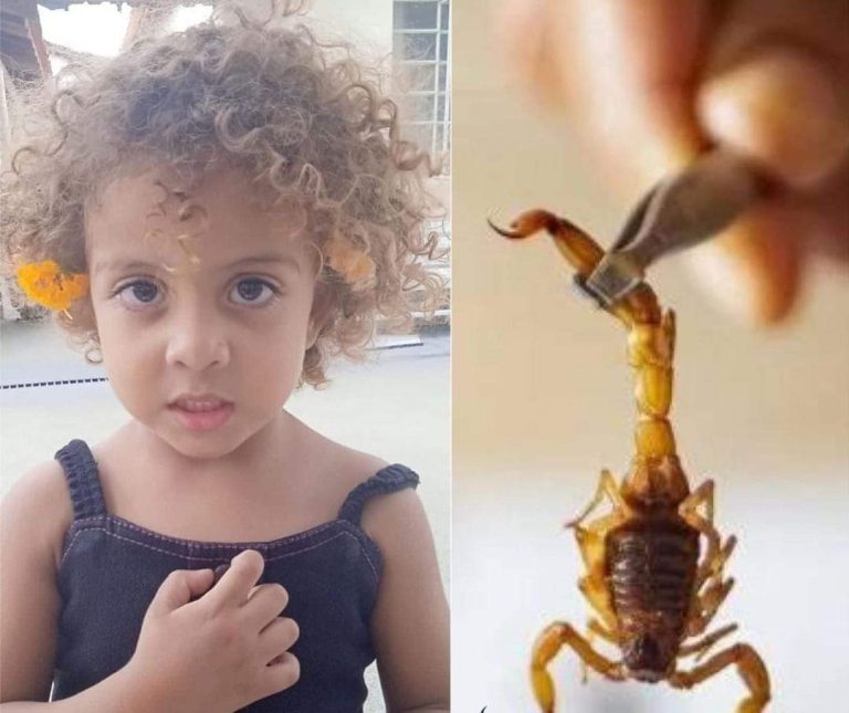 MeninaEscorpiao