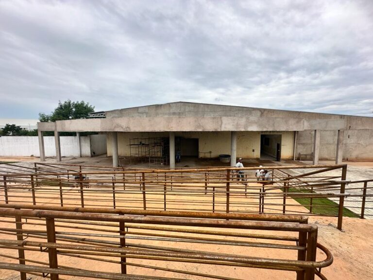 Volta Às Aulas1