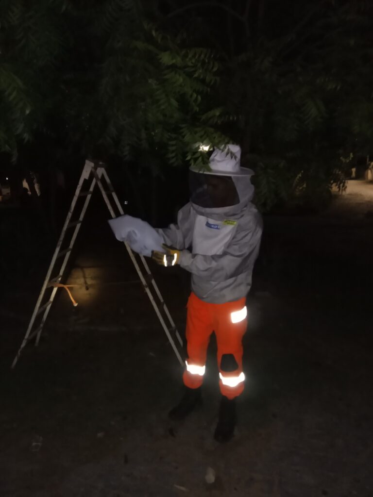 WhatsApp Image 2024-01-12 at 00.54.27