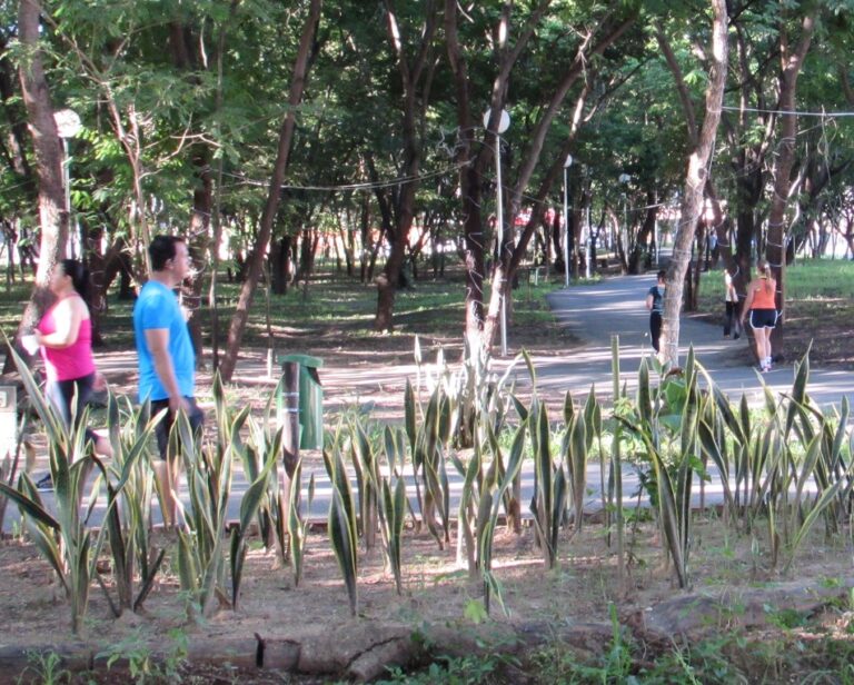 Sagarana