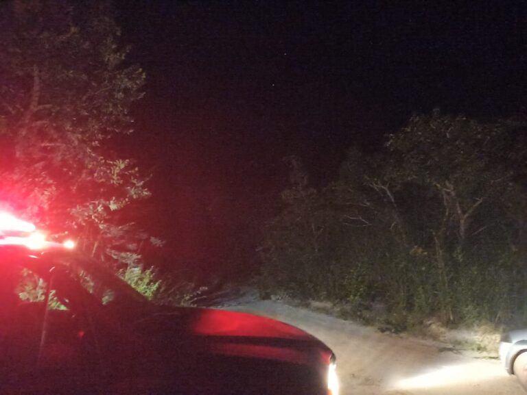 WhatsApp Image 2024-04-08 at 02.35.07 (1)